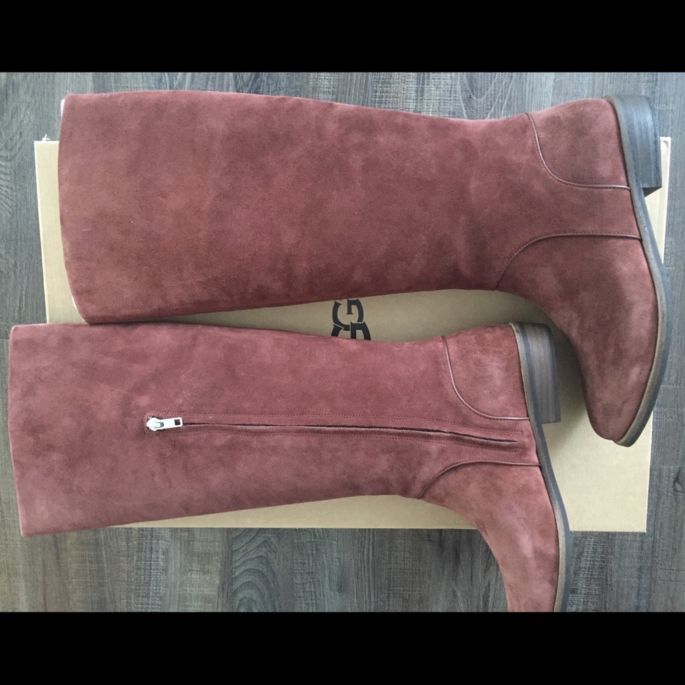 UGG Daley Tall Boot- Mahogany Suede